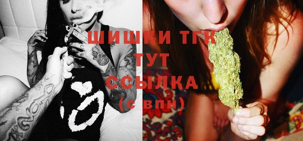 молекула духа Алексин