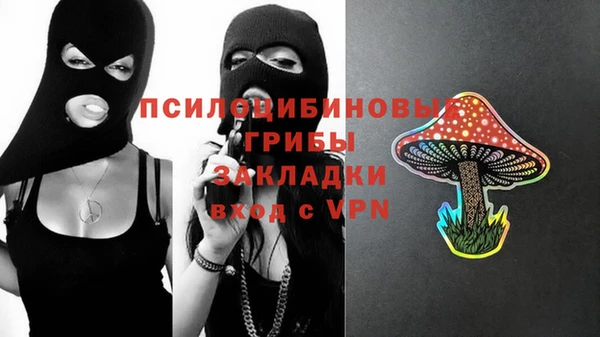 молекула духа Алексин