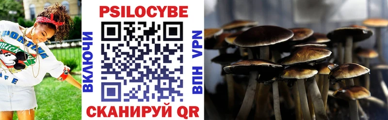 где купить наркотик  сайты даркнета Telegram  Галлюциногенные грибы MAGIC MUSHROOMS  Яровое  mega онион 